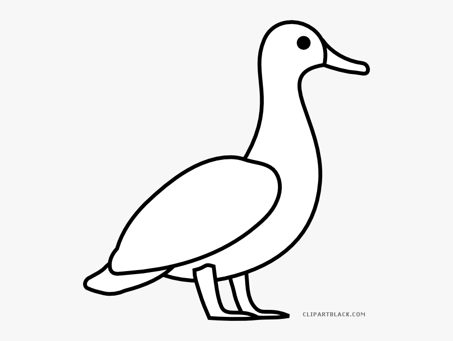 Duck Outline Animal Free Black White Clipart Images - Outline Duck, Transparent Clipart