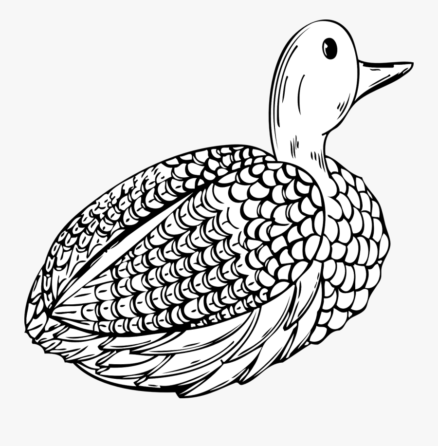 Decoy - Clipart - Omalovanky Kachny, Transparent Clipart