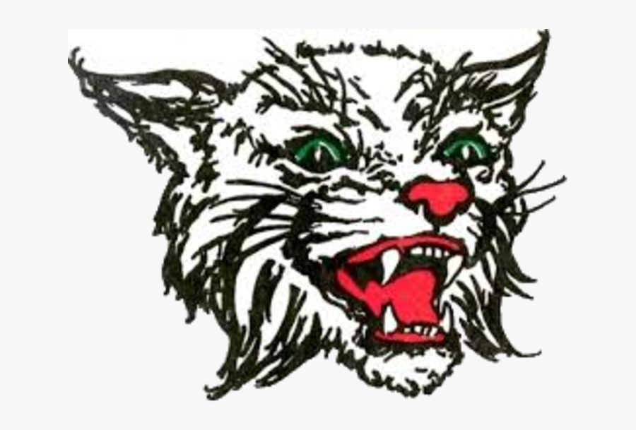 Abraham Lincoln High School Lynx, Transparent Clipart