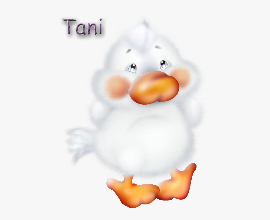 Cartoon Animals, Transparent Clipart