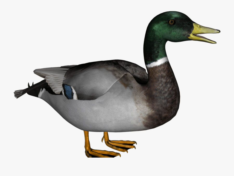 Wood Clip Art Wooden - Transparent Background Transparent Duck, Transparent Clipart