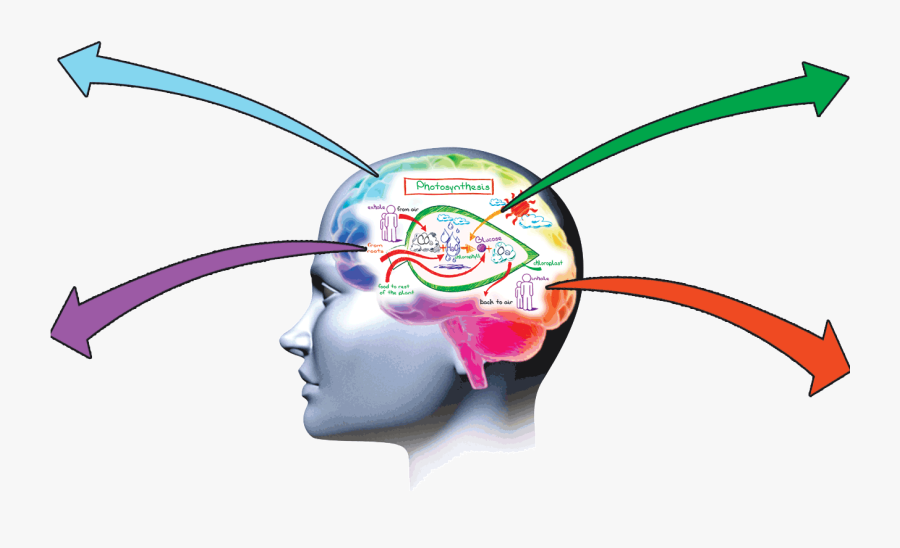 The Memory Guru Of India - Improve Memory, Transparent Clipart