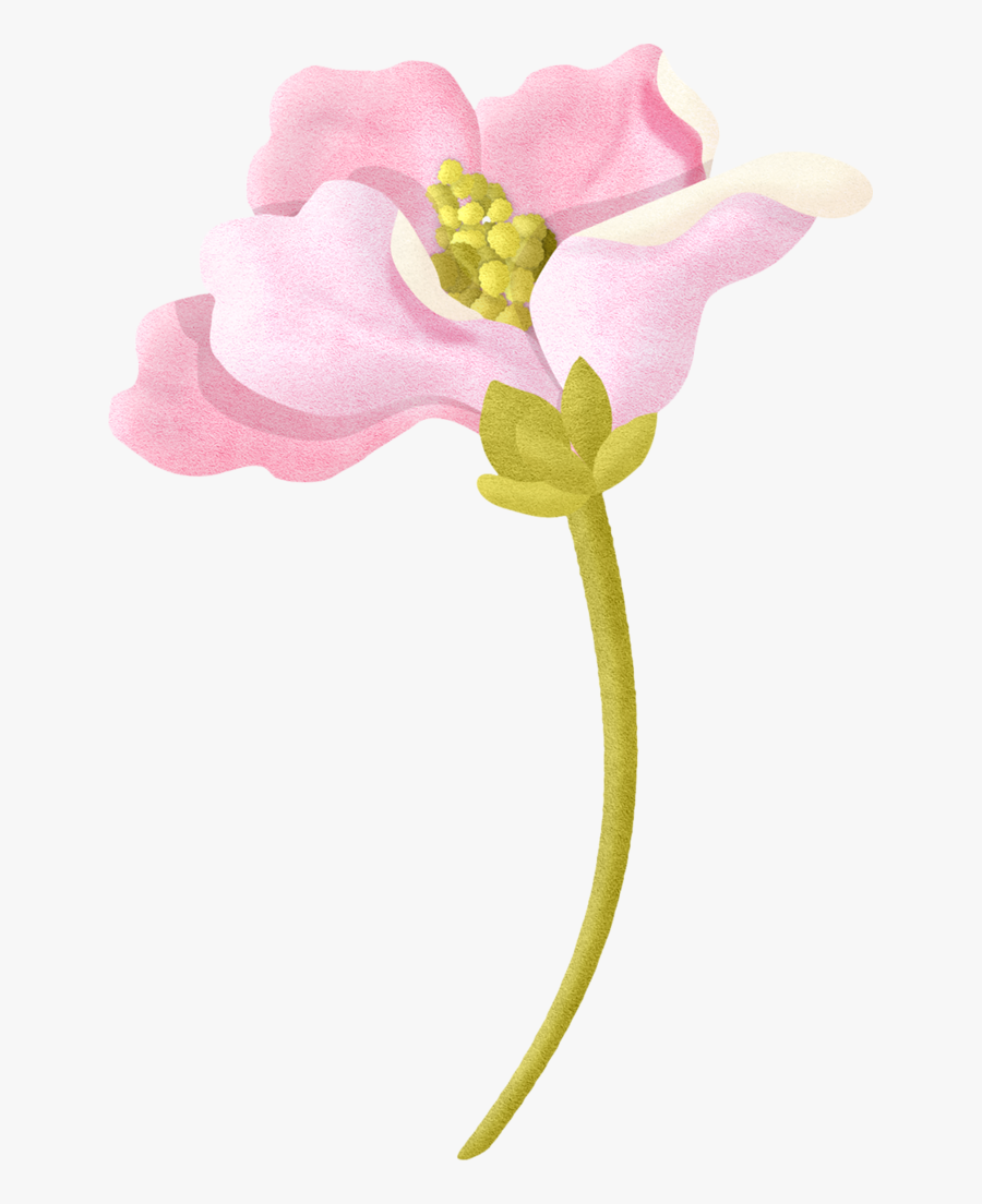 Canada Columbine, Transparent Clipart