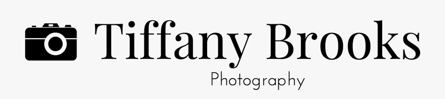 Camera, Transparent Clipart