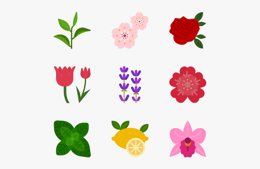 Natural Scent - Iconos Flores, Transparent Clipart