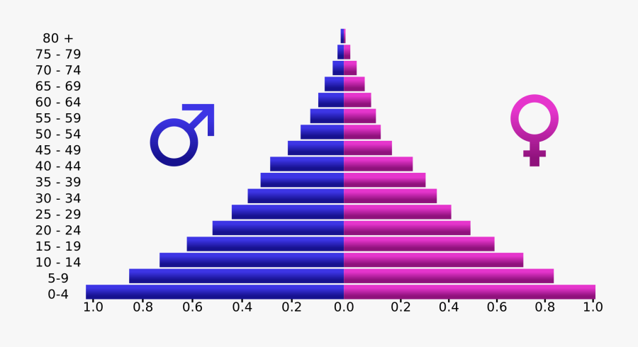 Growth Clipart Population Pyramid - Uganda Population Pyramid 2017, Transparent Clipart