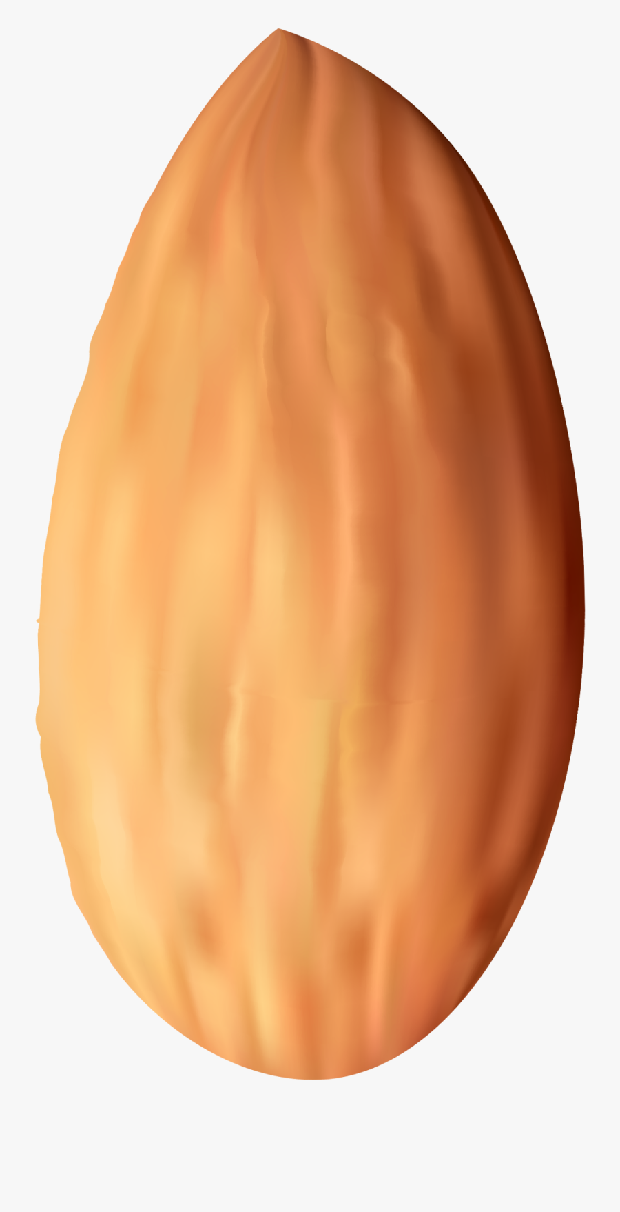 Almond Png Best Web - Nut Png, Transparent Clipart