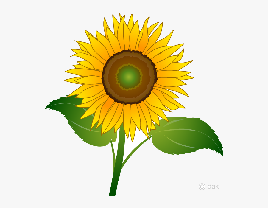 Sunflower One Clipart Free Picture Transparent Png - Flower Sunflower Clip Art, Transparent Clipart