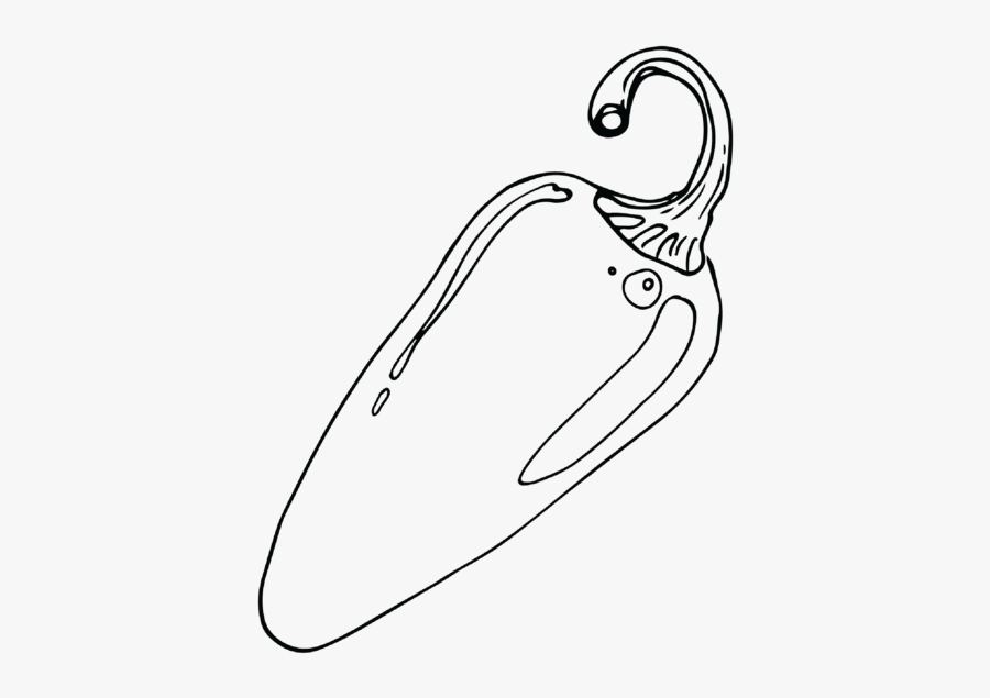 Jalapeno Pepper Farmbelly - Sketch, Transparent Clipart