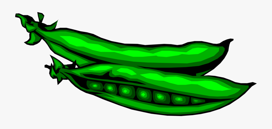 Green Peas Seed Pod - Beans Clip Art, Transparent Clipart