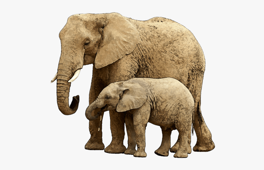 Mom And Baby Animal Clipart - Baby Elephant Transparent Background, Transparent Clipart
