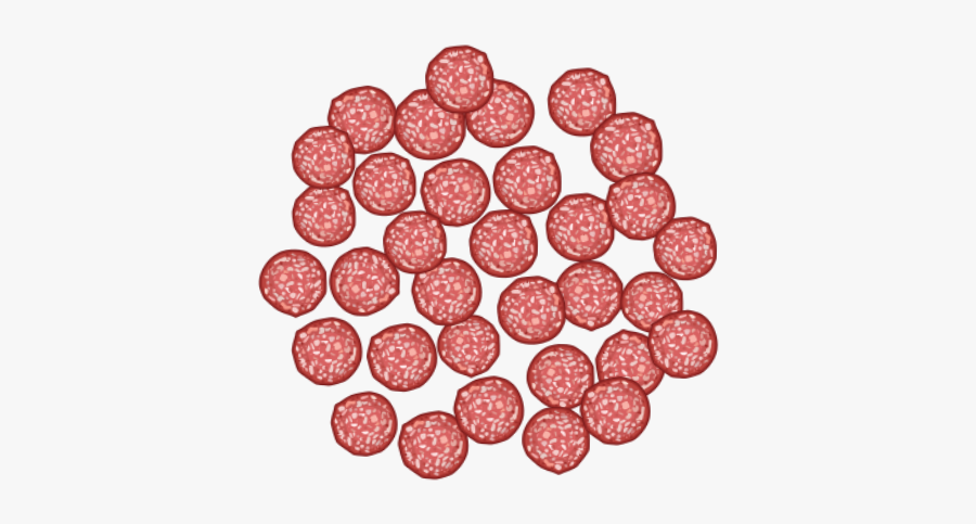 Circle, Transparent Clipart