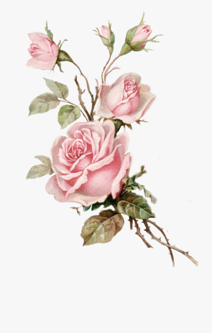 Pink Rose Clipart - Transparent Background Flower Png, Transparent Clipart