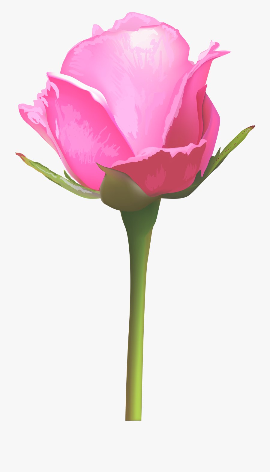 Single Pink Rose Flower Clipart , Png Download - Single Pink Rose Flowers, Transparent Clipart