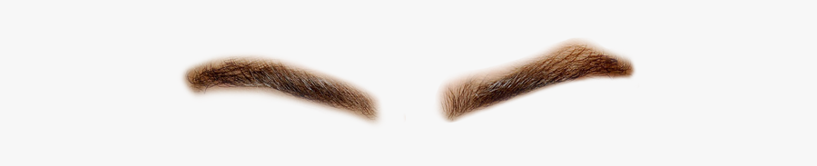 Bushy Eyebrows Png- - Cara Delevingne Eyebrows Png, Transparent Clipart