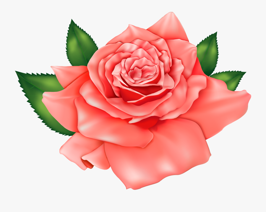 Pink Rose Clipart Peach Rose - Beautiful Rose Clipart, Transparent Clipart