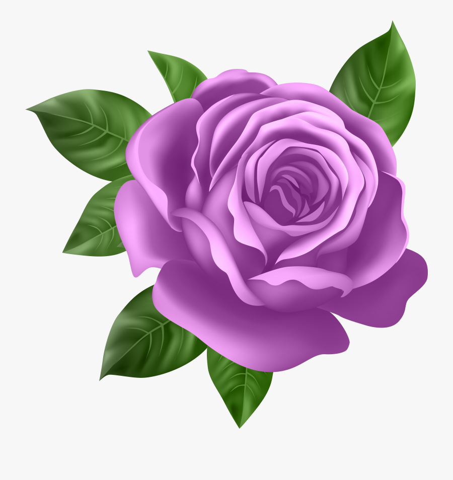 Pin By Karen Thompson - Purple Roses Clip Art, Transparent Clipart