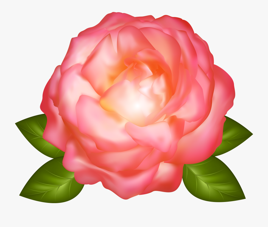 Rose Clipart , Png Download - Beautiful Pink Flowers Transparent, Transparent Clipart