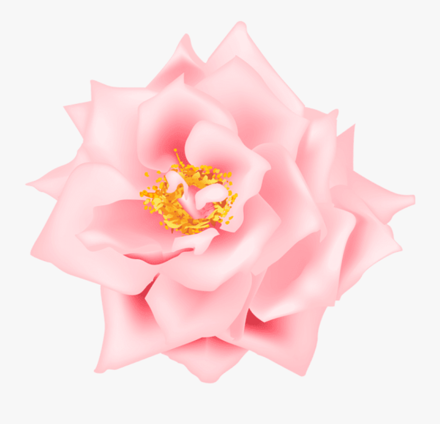 Pink Rose Clipart - Floribunda, Transparent Clipart