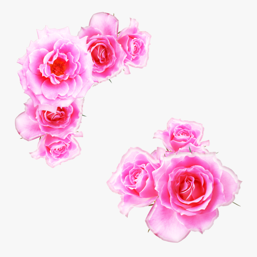 Transparent Pink Rose Clipart - Kewra Water In Hindi, Transparent Clipart