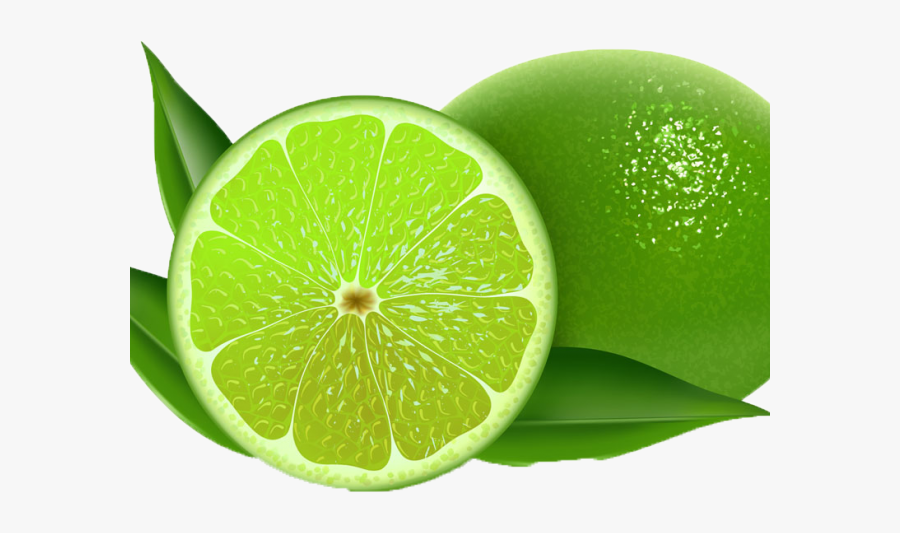 Key Lime Clipart , Free Transparent Clipart ClipartKey