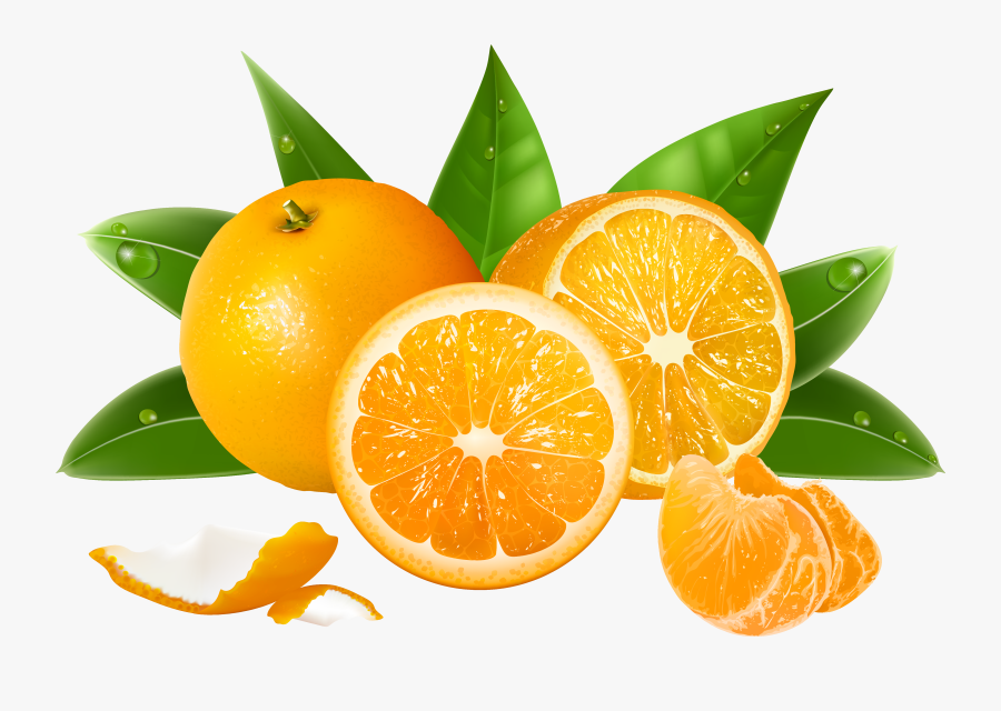 Juice Lemon Grapefruit Orange - Clipart Oranges, Transparent Clipart