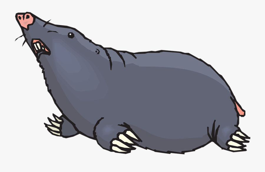 Ground, Looking, Animal, Claws, Blind, Mole - Mole Clip Art, Transparent Clipart