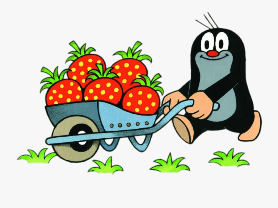 Little Mole Collecting Strawberries In A Wheelbarrow, Transparent Clipart
