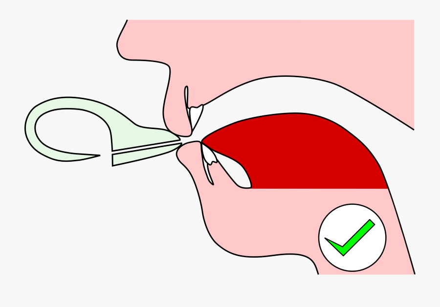 Blow Into Ocarina, Transparent Clipart