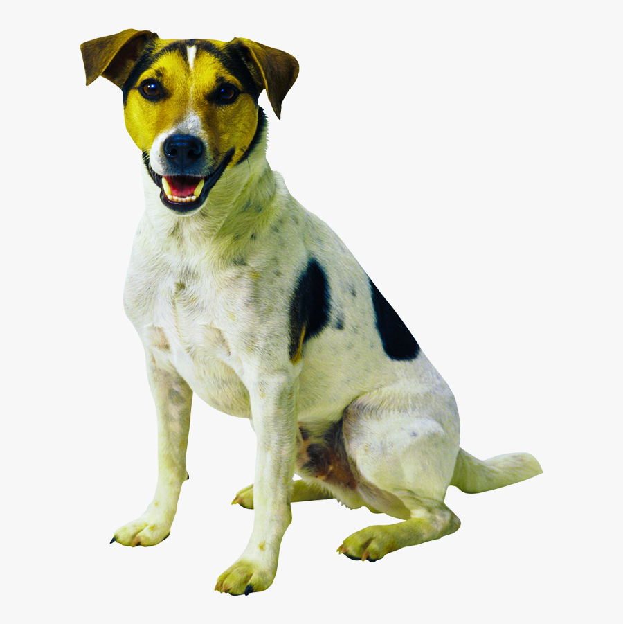 Animals Clipart Png,cartoon Animals Png,cute Animal - Dog Bcg, Transparent Clipart