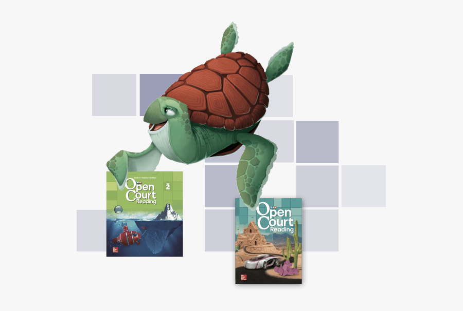 Green Sea Turtle, Transparent Clipart