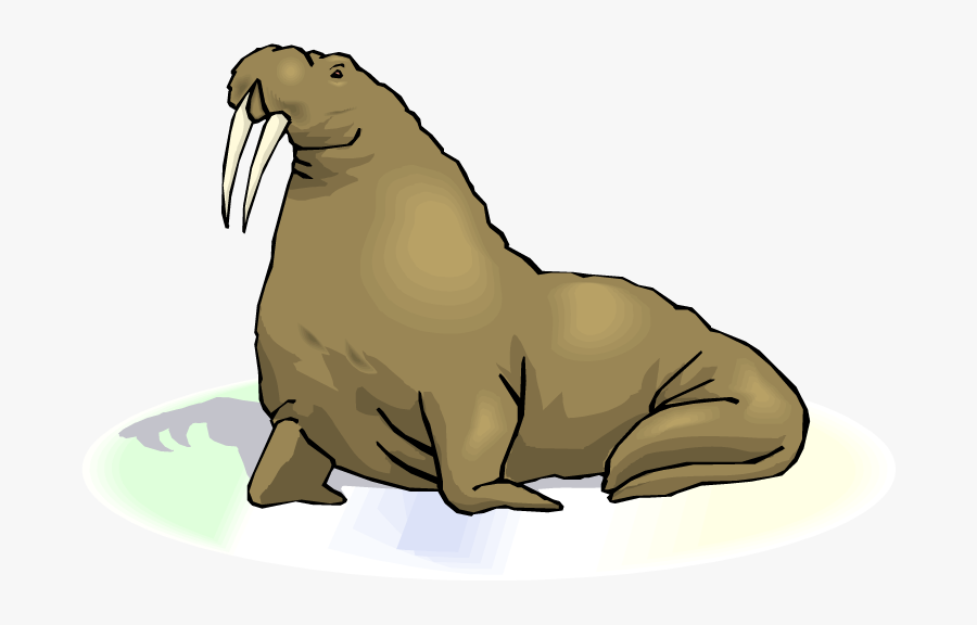 Walrus Clipart - Walrus Clipart No Background, Transparent Clipart