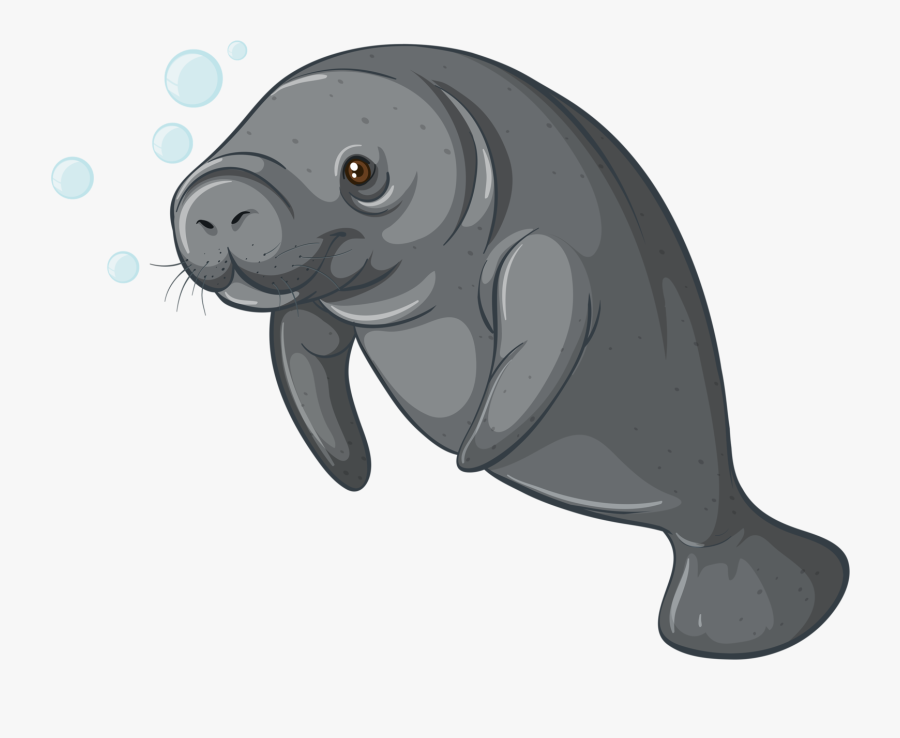 Walrus Clipart Transparent Background Sea Creature - Dugong Clipart, Transparent Clipart