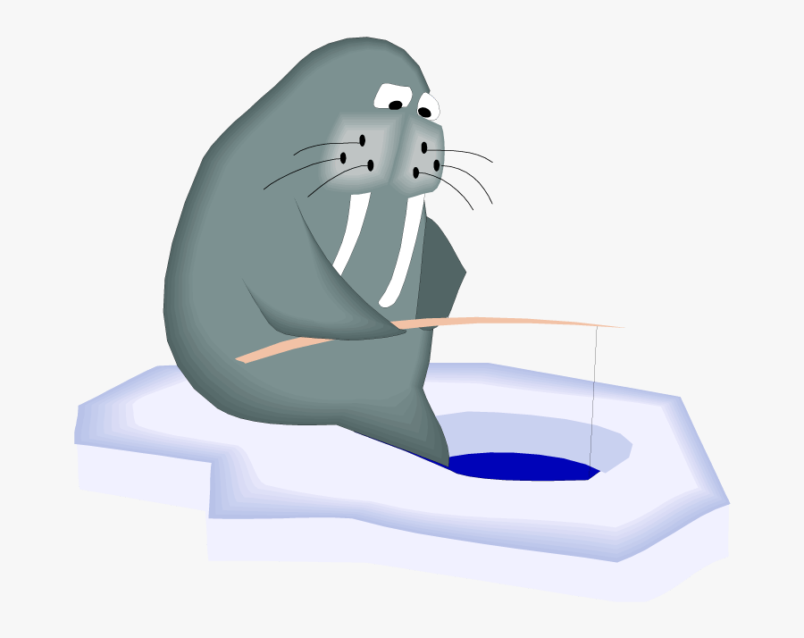 Walrus Fishing - Fishing Walrus, Transparent Clipart