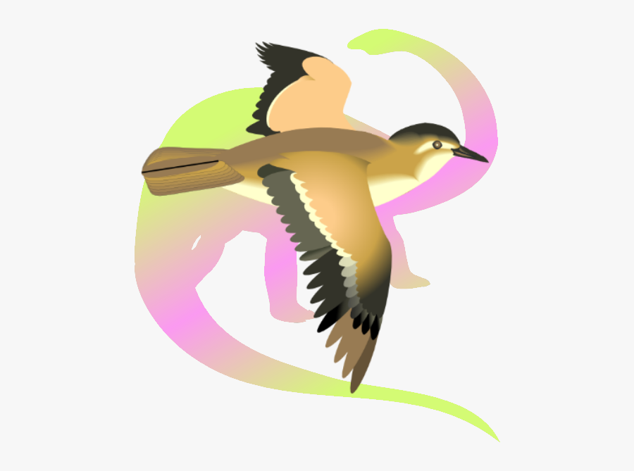 Flying Bird Cartoon Png, Transparent Clipart