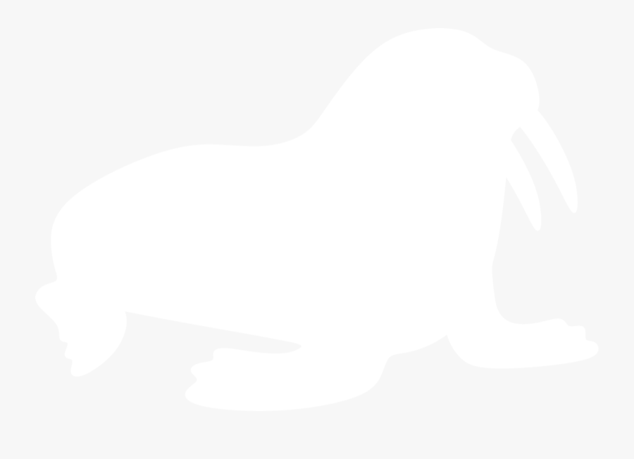 Transparent Walrus Clipart - Pompa Powierzchniowa, Transparent Clipart