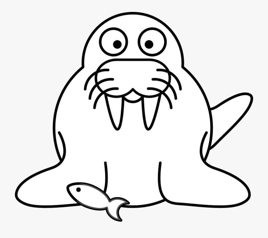 Outline Of A Walrus, Transparent Clipart