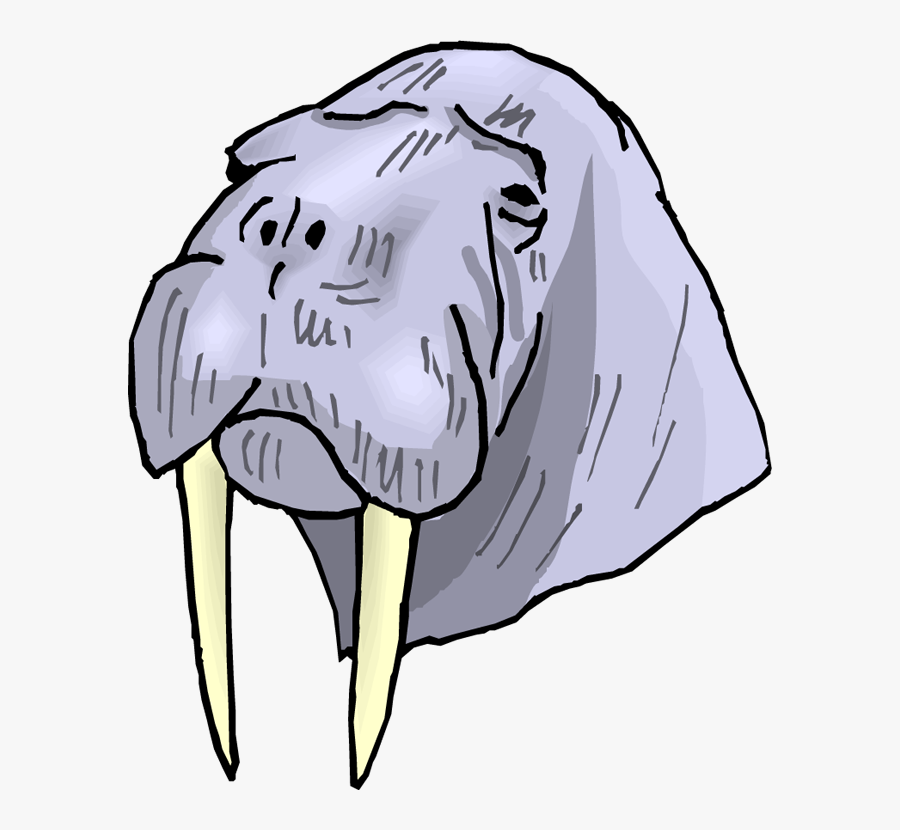Walrus Tusks Clipart - Portable Network Graphics, Transparent Clipart