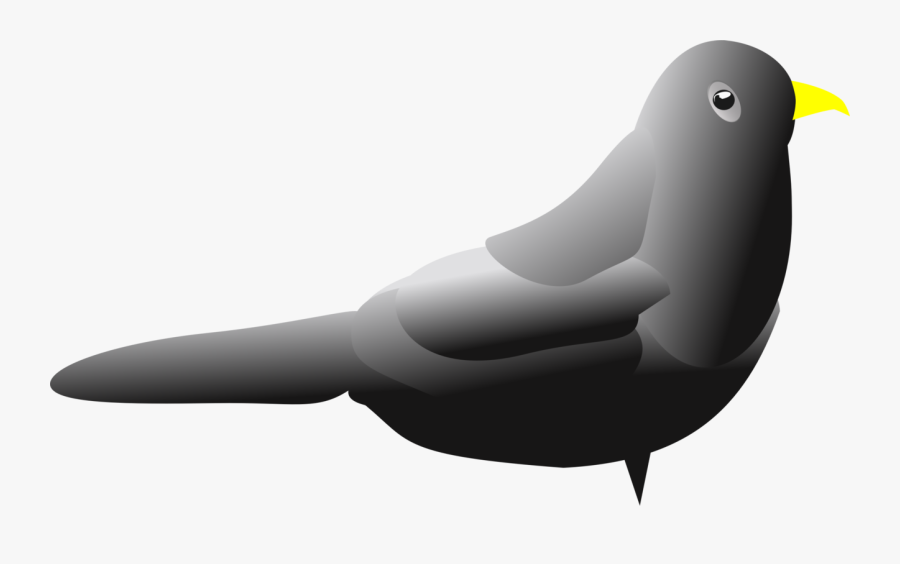 Flightless Bird,water Bird,walrus - Lovebird, Transparent Clipart