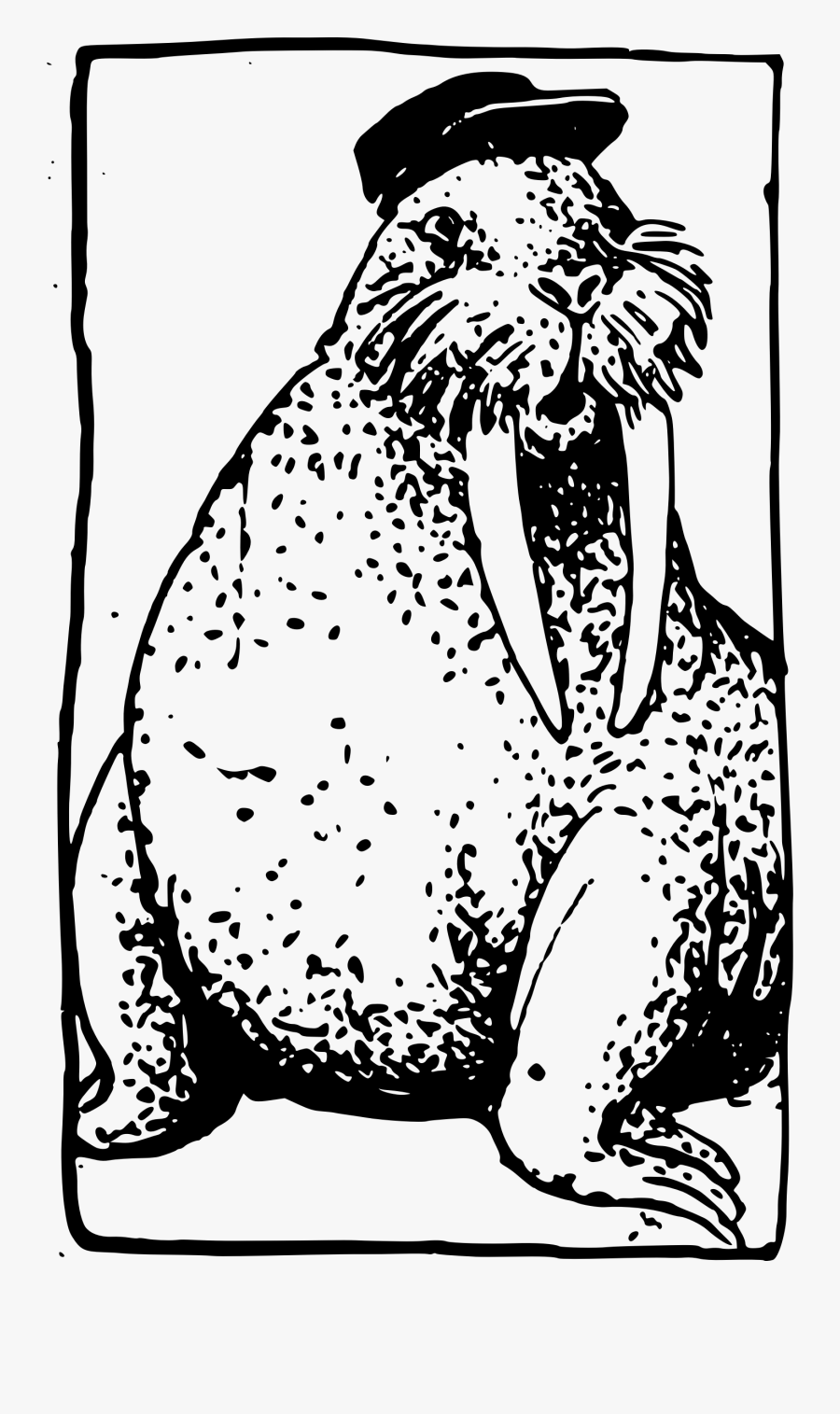 Transparent Walrus Clipart - Illustration, Transparent Clipart
