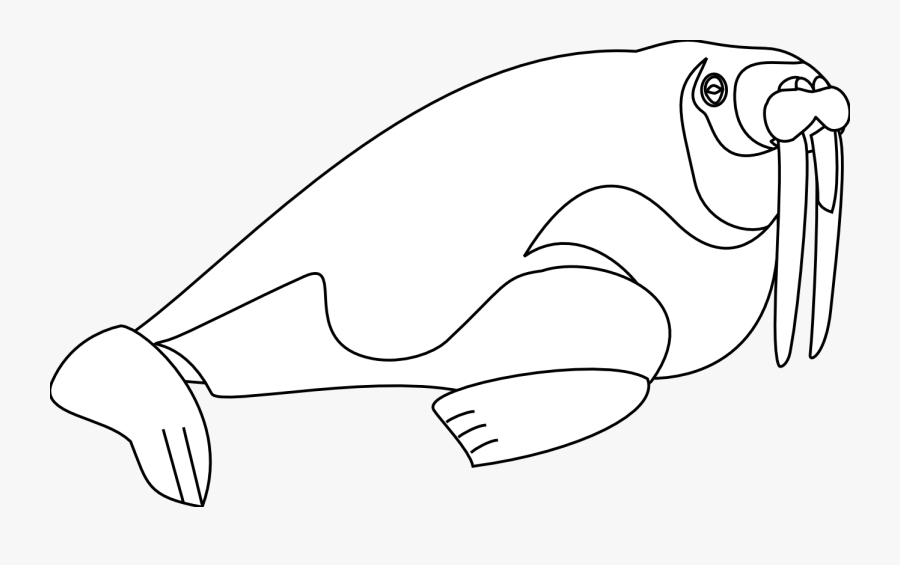 Walrus Clipart Black And White Artfavor 1 Line, Transparent Clipart