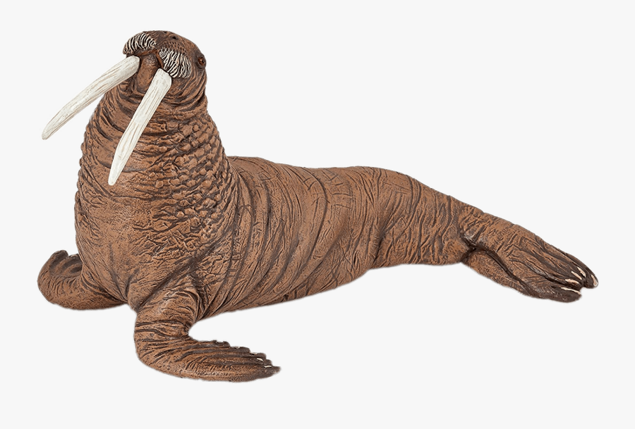 Walrus - Papo Walrus, Transparent Clipart