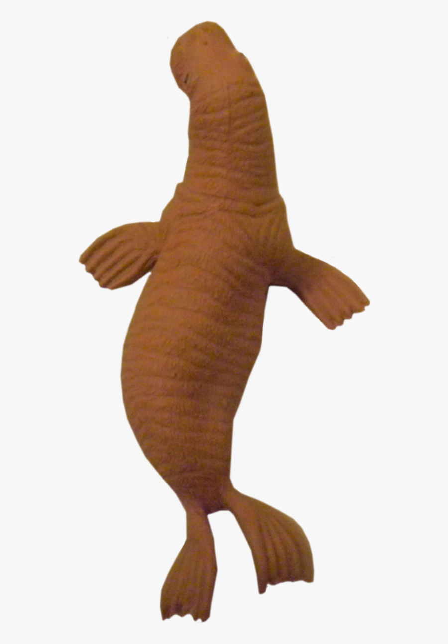 Download Walrus Png Clipart - Plush, Transparent Clipart