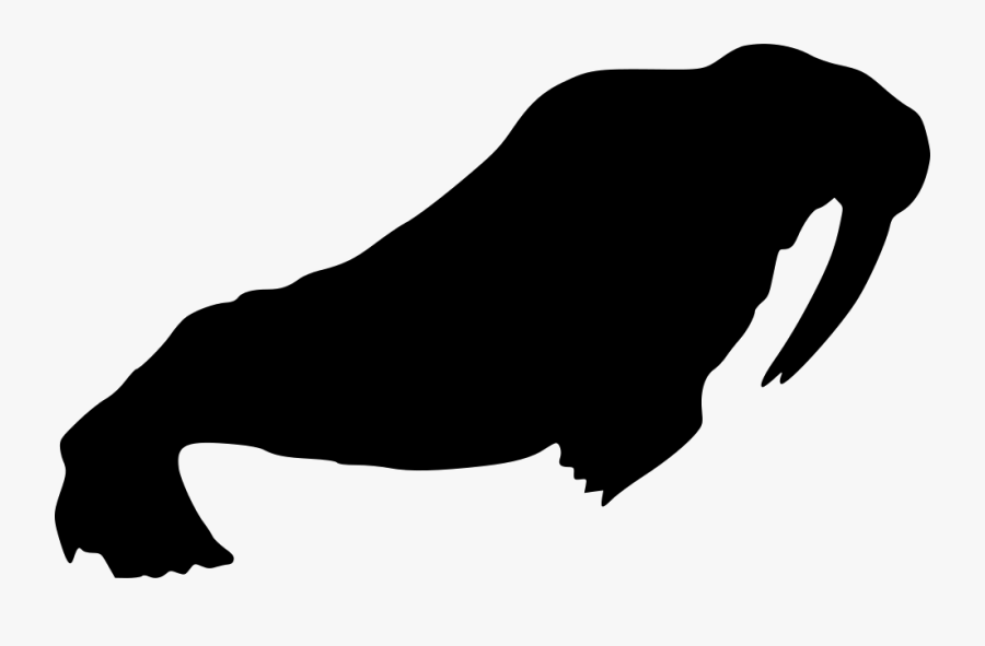 Walrus Transparent Background, Transparent Clipart