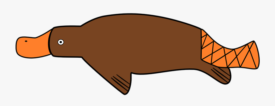 Marine Mammal,clip - รูป การ์ตูน ตุ่น ปากเป็ด, Transparent Clipart