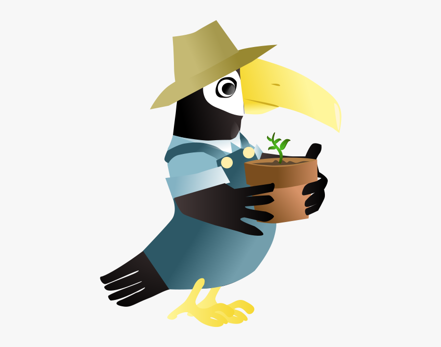 Toucan In The Garden - Animal Gardener Free Illustration, Transparent Clipart