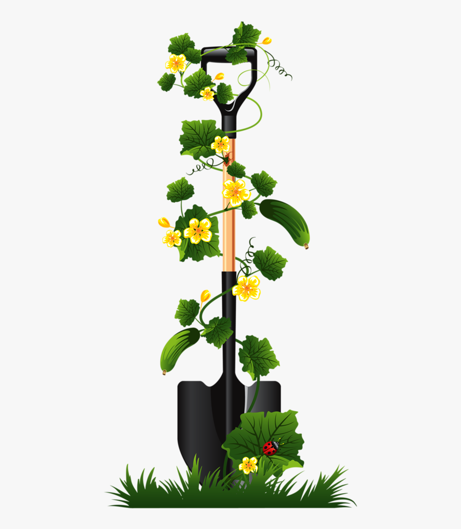 Image Library Library Gardener Clipart Plant Seedling - Cucumber Vine Png, Transparent Clipart