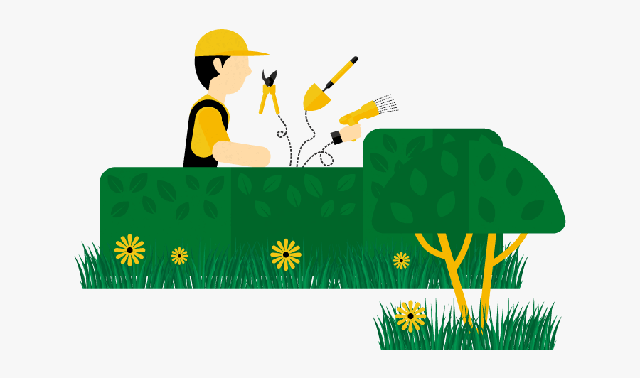 Png Stock Hedge In Ottawa Expert - Illustration, Transparent Clipart