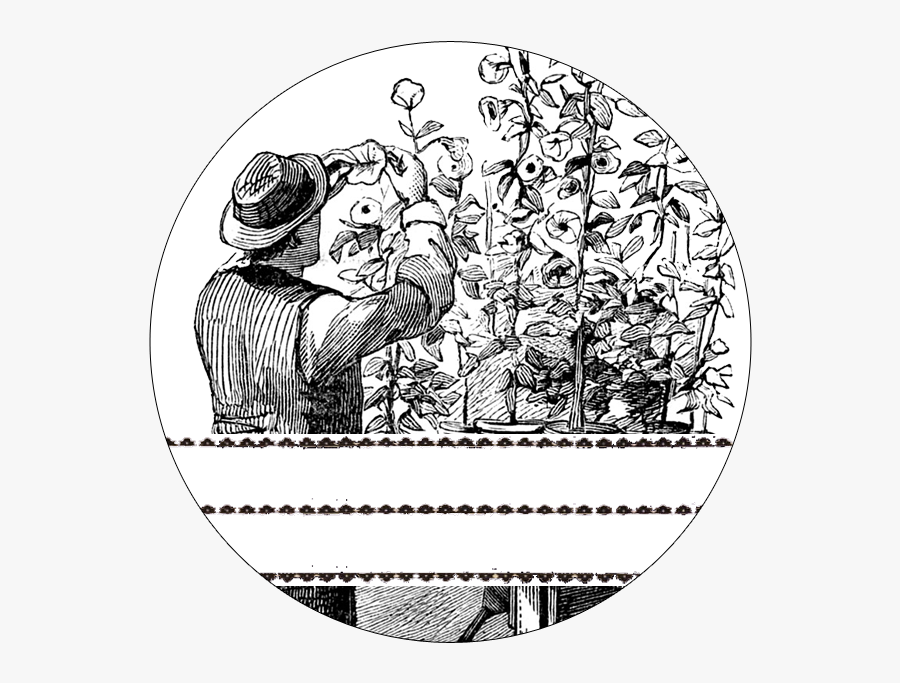 Garden Mason Jar Labels // The Graphics Fairy - Illustration, Transparent Clipart