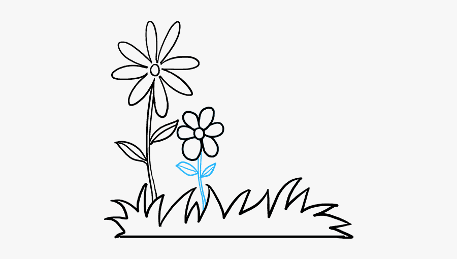 Flower Garden For Drawing, Transparent Clipart